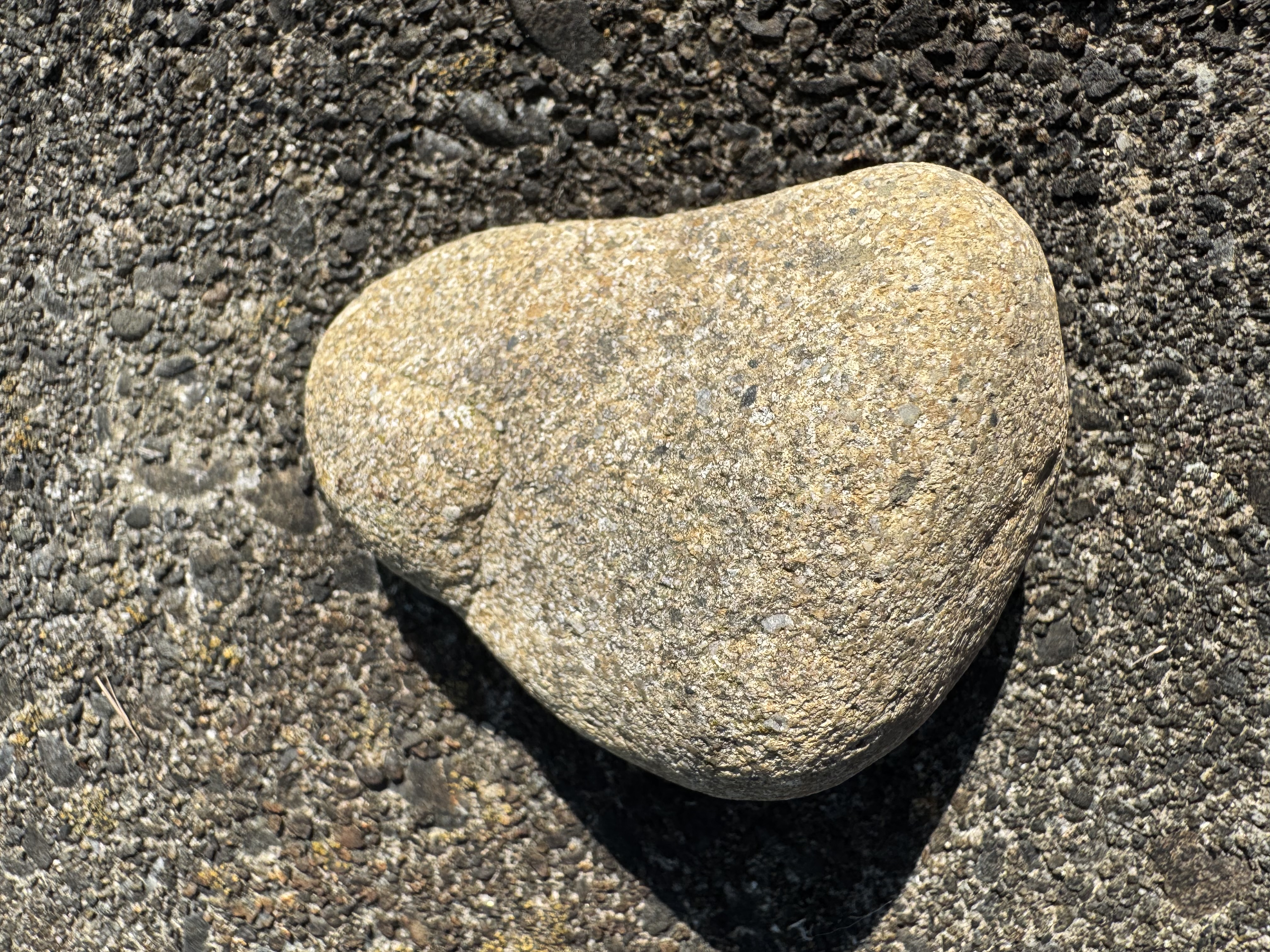 岩宝堂 幻の石 応相談 神秘的なレア投資石・限定コレクション